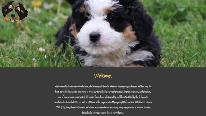 Krish-minibernedoodle.com - Bernedoodle Puppy Scam Review