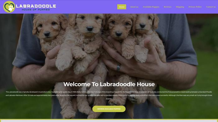 Labradoodlehouse.com - Labradoodle Puppy Scam Review