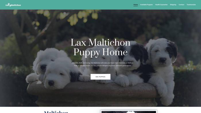 Laxmaltichonpuppyhome.com - Maltipoo Puppy Scam Review