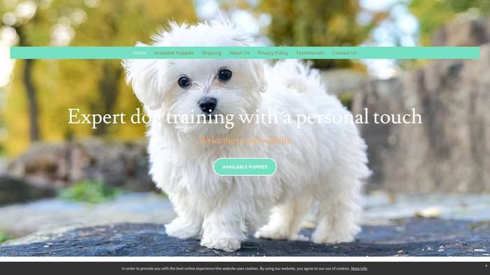 Leshamaltesepuppies.com - Maltese Puppy Scam Review