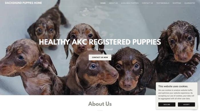 Lovelydachshundspuppieshome.com - Dachshund Puppy Scam Review