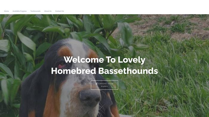 Lovelyhomebredbassethounds.com - Bassethound Puppy Scam Review