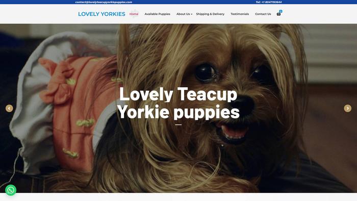 Lovelyteacupyorkiepuppies.com - Yorkshire Terrier Puppy Scam Review