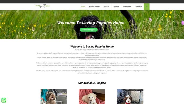 Lovingpuppieshome.com - Labradoodle Puppy Scam Review