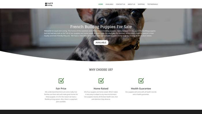 Loyalandloving.com - French Bulldog Puppy Scam Review