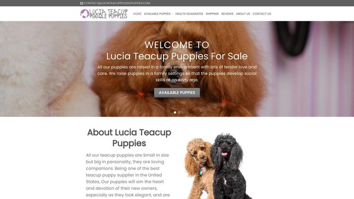 Luciateacuppoodlepuppies.com - Poodle Puppy Scam Review