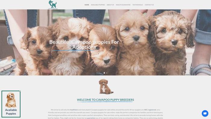 Luckycavapoopups.com - Cavapoo Puppy Scam Review