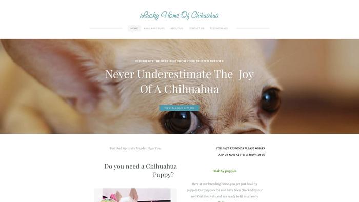 Luckyhomeofchihuahua.com - Chihuahua Puppy Scam Review