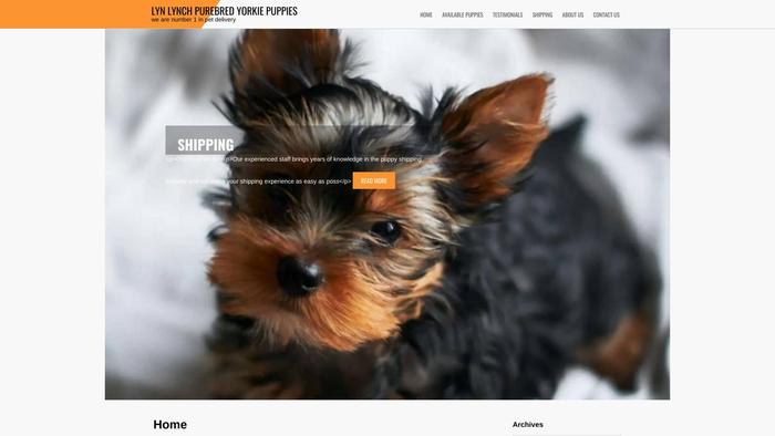 Lynlynchpurebredyorkiepuppies.com - Yorkshire Terrier Puppy Scam Review