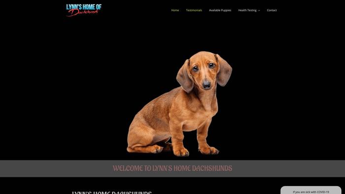 Lynnshomedachshunds.com - Dachshund Puppy Scam Review