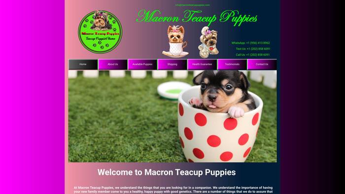 Macronteacuppuppies.com - Yorkshire Terrier Puppy Scam Review