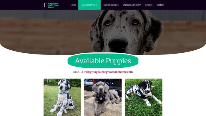 Magdalenegreatdanehome.com - Great Dane Puppy Scam Review