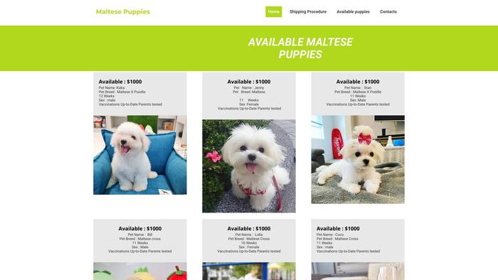 Maltes.club - Maltese Puppy Scam Review