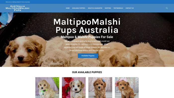 Maltipoomalshihome.com - Great Dane Puppy Scam Review