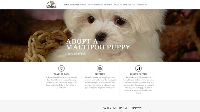 Maltipoopuppiesforadoptions.com - Maltipoo Puppy Scam Review