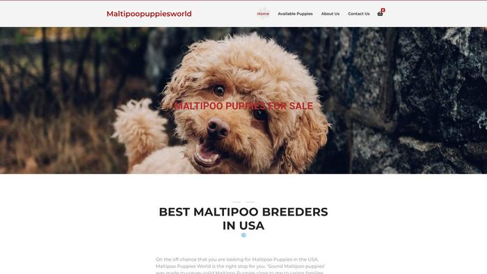 Maltipoopuppiesworld.com - Maltipoo Puppy Scam Review