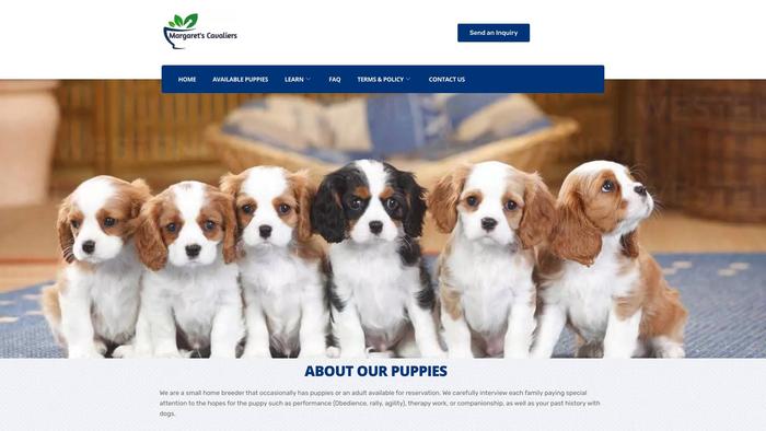 Margaretcavalierkingcharlesspanielpuppies.com - Cavalier King Charles Spaniel Puppy Scam Review