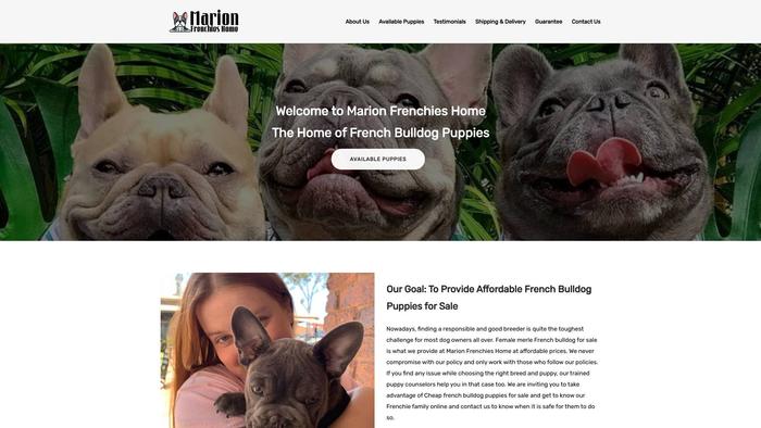 Marionfrenchieshome.com - French Bulldog Puppy Scam Review