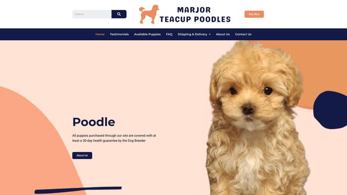 Marjoteacuppoodles.com - Poodle Puppy Scam Review