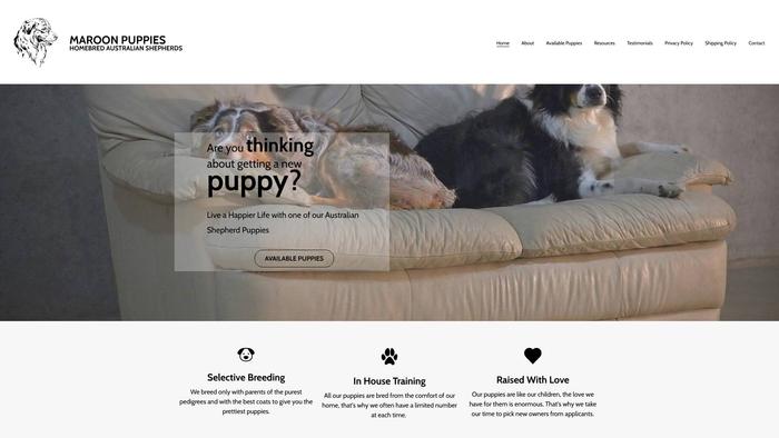 Maroonpuppies.com - Australian Shepherd Puppy Scam Review