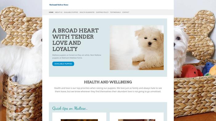 Matinamimaltesehome.com - Maltese Puppy Scam Review