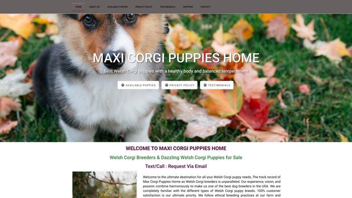 Maxicorgipuppieshome.com - Corgi Puppy Scam Review