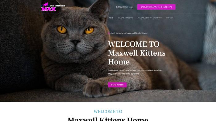 Maxwellkittenhome.com - British Shorthair Puppy Scam Review