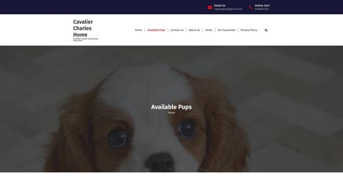 Mccavalierpupshome.com - Cavalier King Charles Spaniel Puppy Scam Review