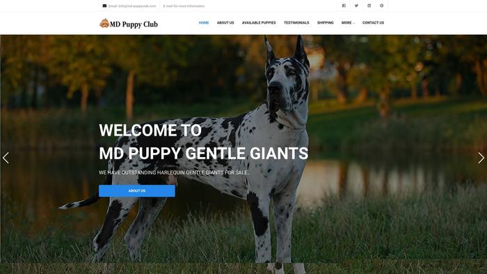 Md-puppyclub.com - Great Dane Puppy Scam Review