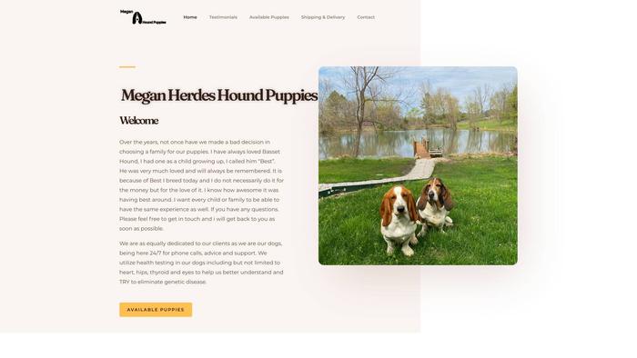 Meganherdeshoundpuppies.com - Bassethound Puppy Scam Review