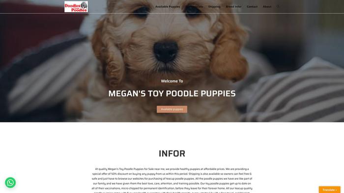 Meganstoypoodlepuppies.com - Poodle Puppy Scam Review