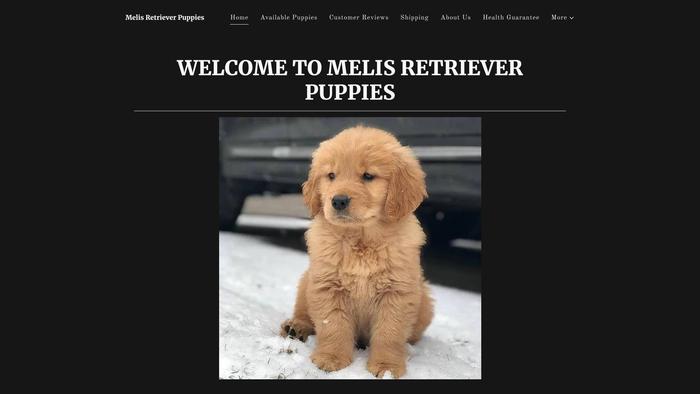 Melisretrieverpups.com - Golden Retriever Puppy Scam Review