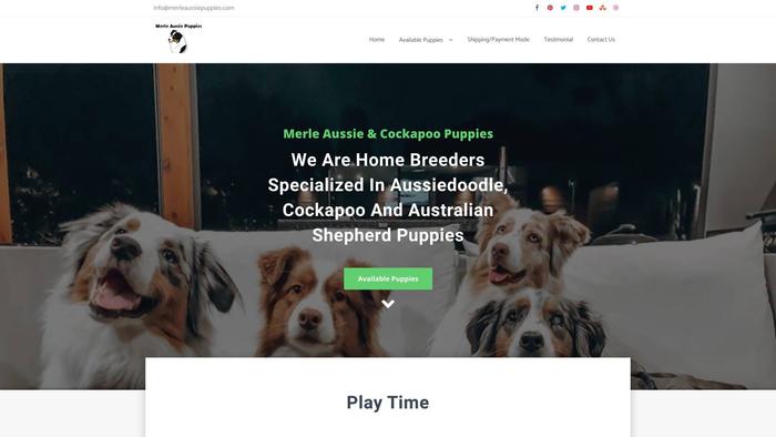 Merleaussiepuppies.com - Australian Shepherd Puppy Scam Review