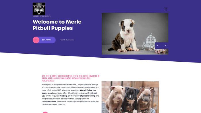 Merlepitbullshome.com - Pit Bull Puppy Scam Review