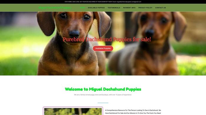 Migueldachshundpuppies.com - Dachshund Puppy Scam Review