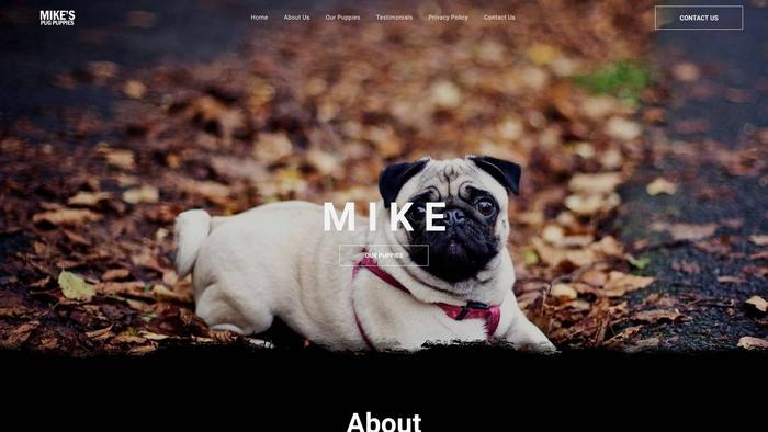 Mikepugpuppies.com - Pug Puppy Scam Review