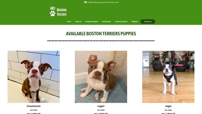 Milkywaybostonterriers.com - Boston Terrier Puppy Scam Review