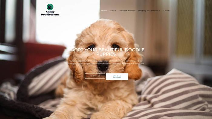 Millerdoodlehome.com - Labradoodle Puppy Scam Review