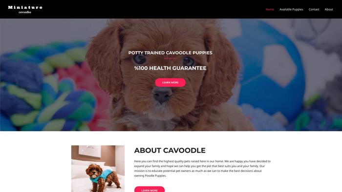 Miniaturecavoodles.com - Cavapoo Puppy Scam Review