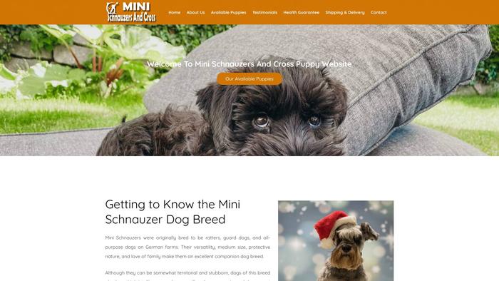 Minischnauzersandcross.com - Schnauzer Puppy Scam Review