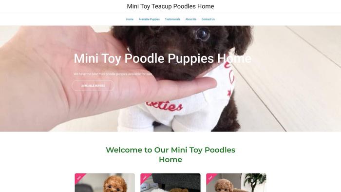 Miniteacuppoodles.com - Poodle Puppy Scam Review