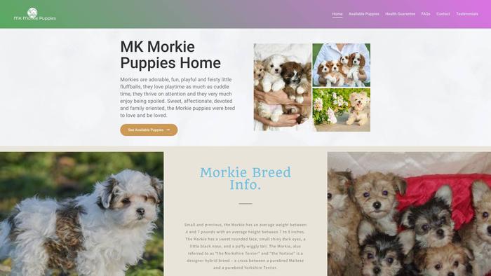 Mkmorkiepuppieshome.com - Yorkshire Terrier Puppy Scam Review