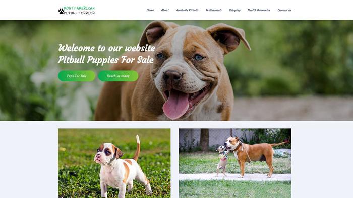 Montyamericanpitbullterrier.us - Pit Bull Puppy Scam Review