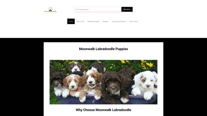 Moonwalklabradoodlepuppies.com - Labradoodle Puppy Scam Review