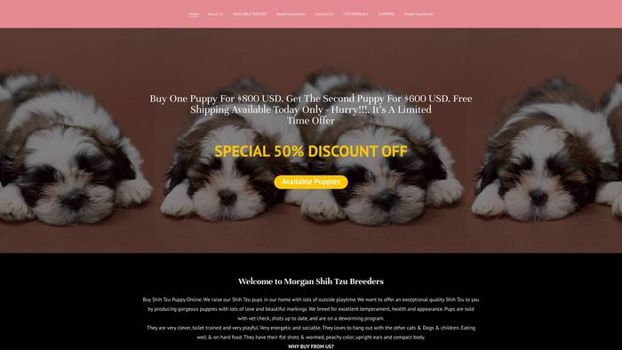 Morganshihtzubreeders.com - Shihtzu Puppy Scam Review