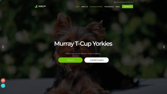 Murraytcupyorkies.com - Yorkshire Terrier Puppy Scam Review