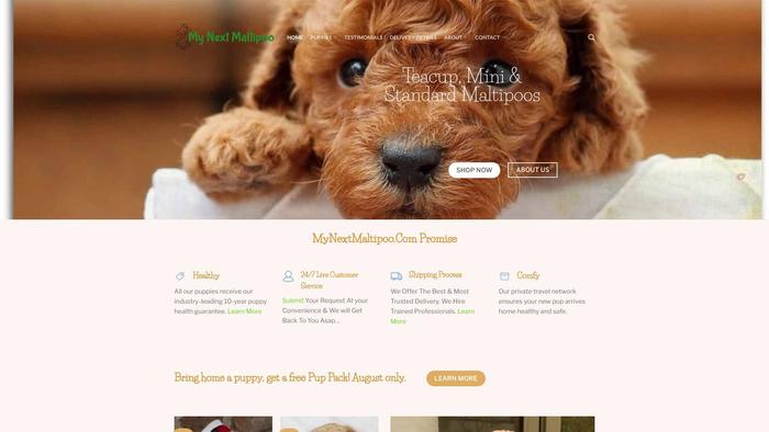 Mynextmaltipoo.com - Maltipoo Puppy Scam Review