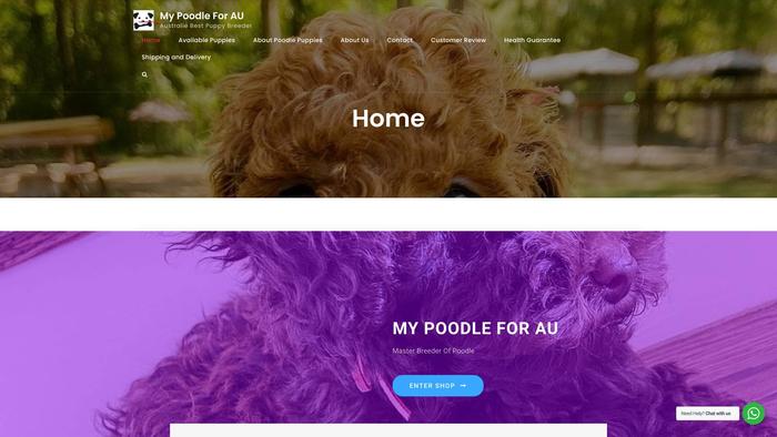 Mypoodleforau.com - Poodle Puppy Scam Review