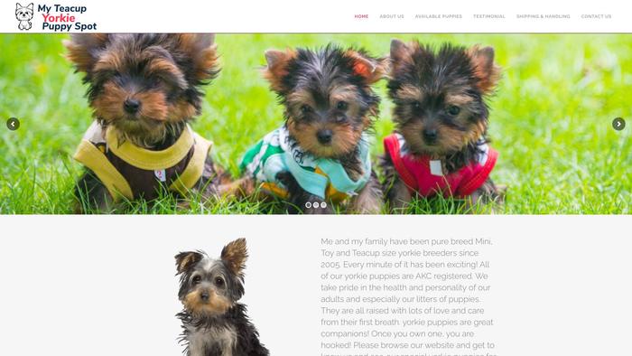 Myteacupyorkiepuppyspot.com - Yorkshire Terrier Puppy Scam Review