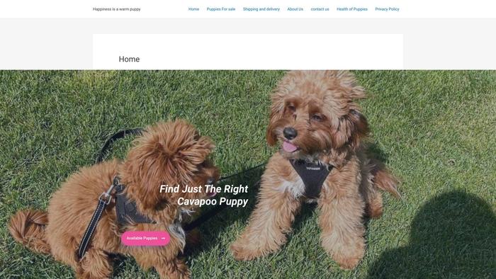 Nashcavapoopuppieshome.store - Cavapoo Puppy Scam Review